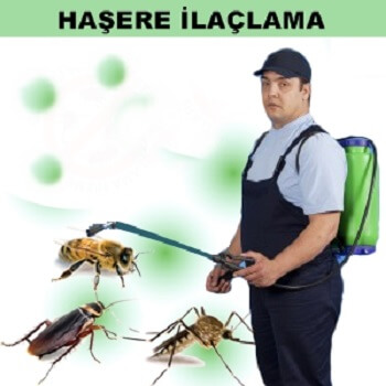 Balıklıova Böcek İlaçlama